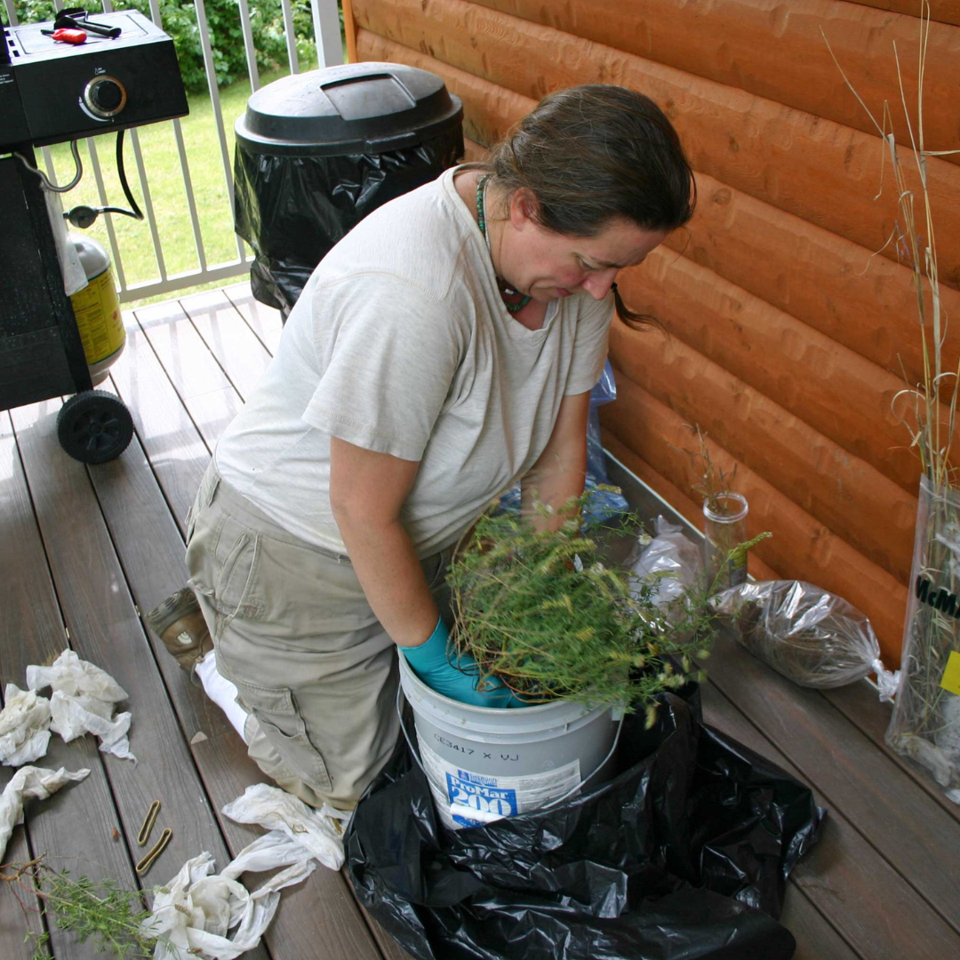 An individual wearing light-coloured clothes and blue rubber gloves kneels on a wooden deck, and lowers a small bushy plant into a bucket.