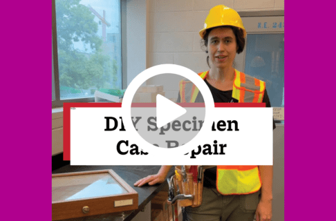A screenshot of a video, an individual standing at a work desk while wearing a high-vis vest, toolbelt, and hard hat. There's a play button over the screenshot and overlaid text reads, "DIY Specimen Cade Repair".