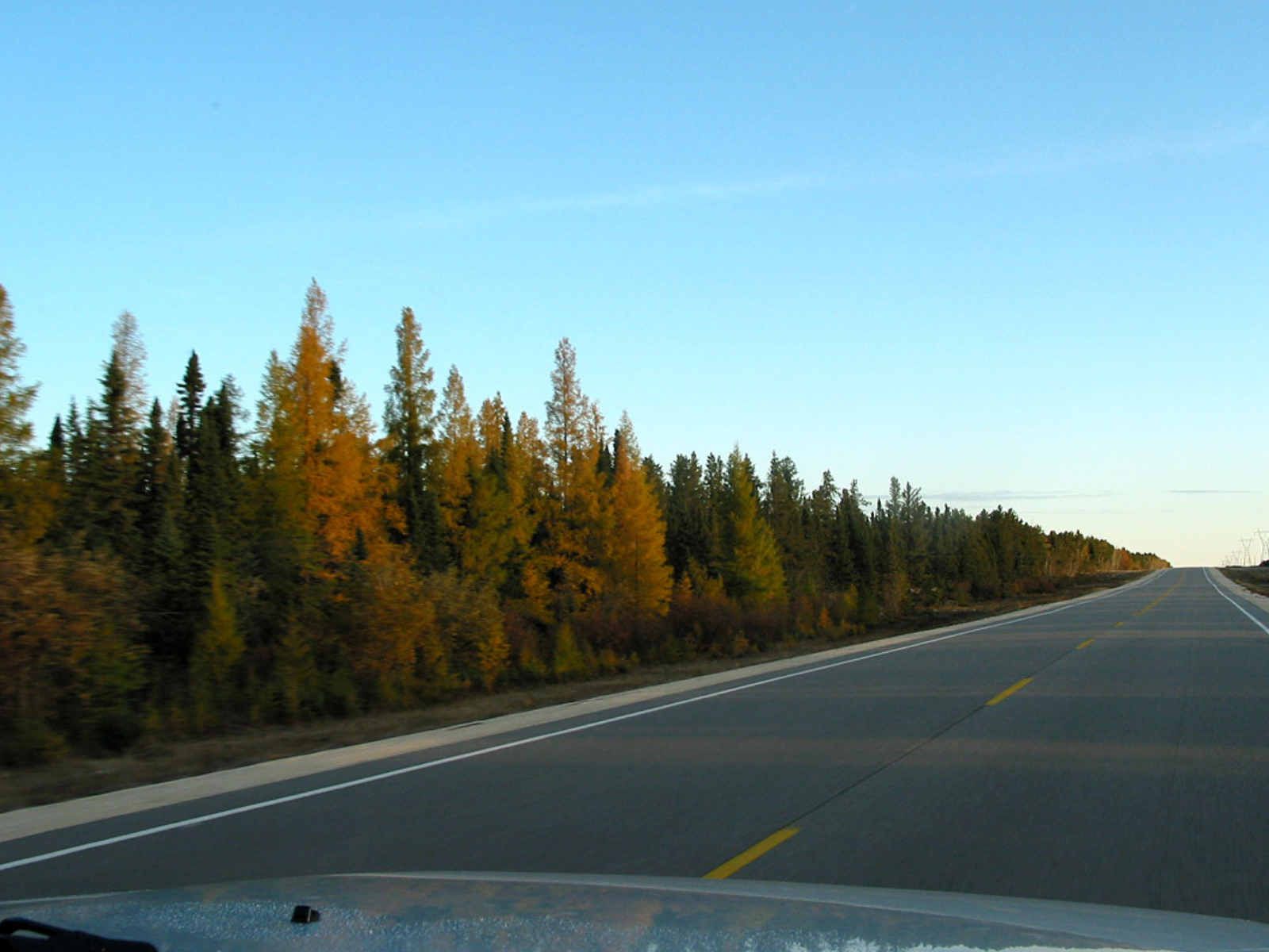 Photograph from inside a vehicel looking down a long stretch of two-way road. Tree along the left side of the road are bathed in evening sunlight under a blue sky,