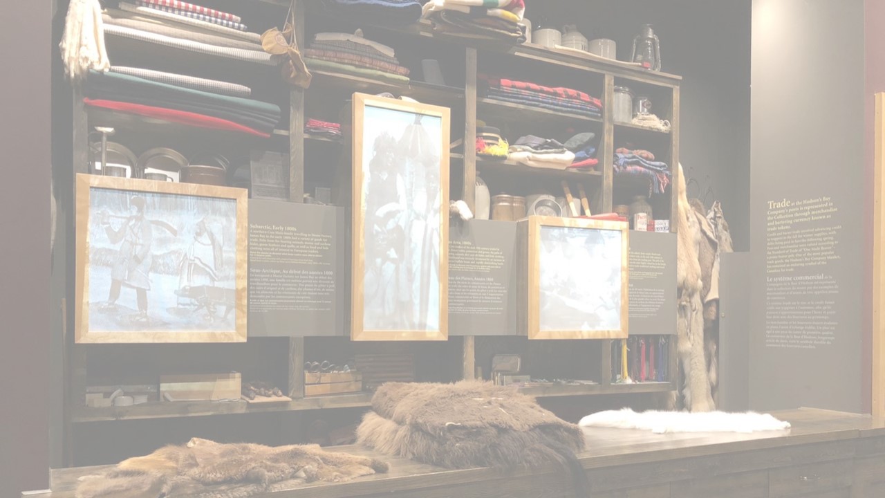 A long wooden countertop with a brown beaver pelt, a folded up brown bison pelt, and a white arctic fox pelt on the top. Behind the counter is a mock trading post, with shelves lined with trade goods like coloured cloth and fabric, metal dishes, ceramic crocks, and smaller items for sewing. There are three lit-up cases that feature artifacts as examples of items that individuals could get at a trading post.