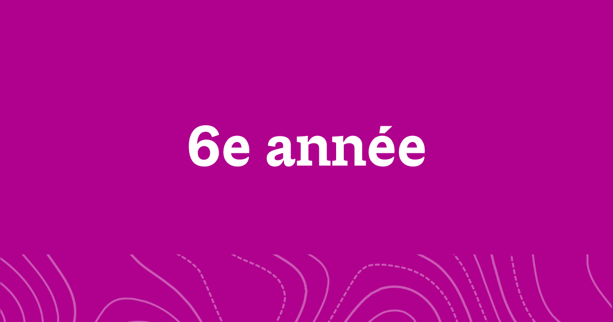 A word graphic on a fuchsia background with white text reading, "6e année".