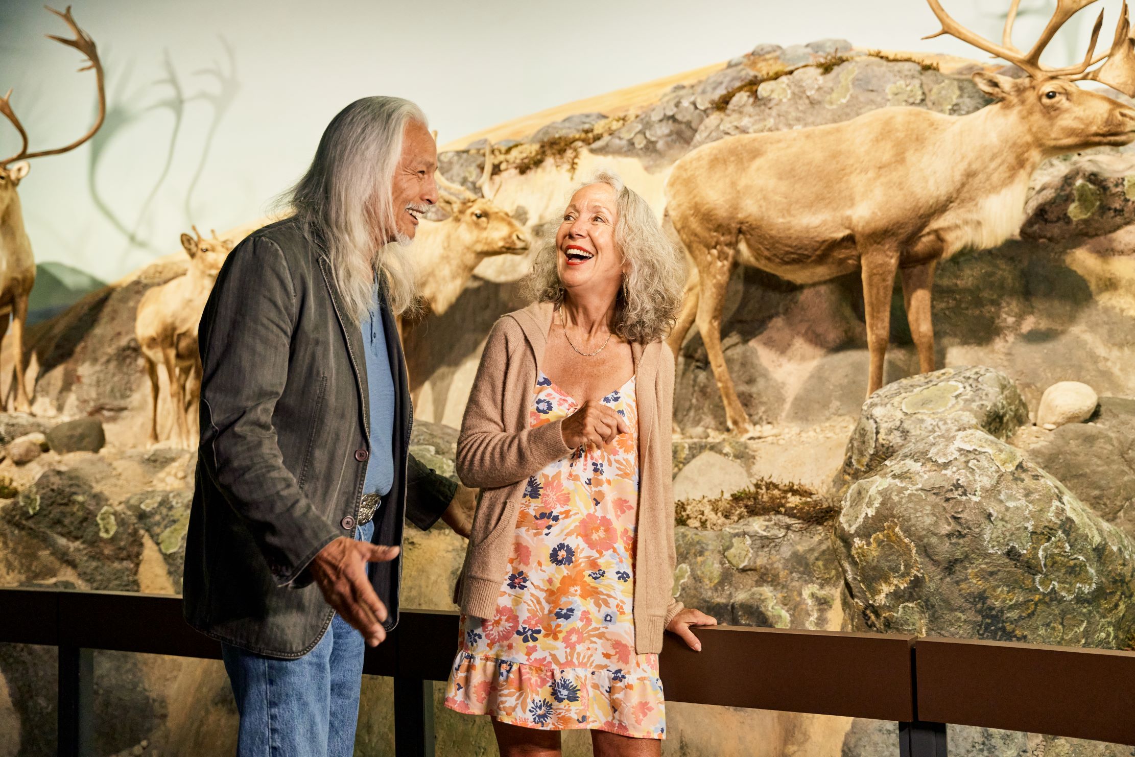 An older couple laughing together in front of a Museum diorama with several pronghorn specimens in it.