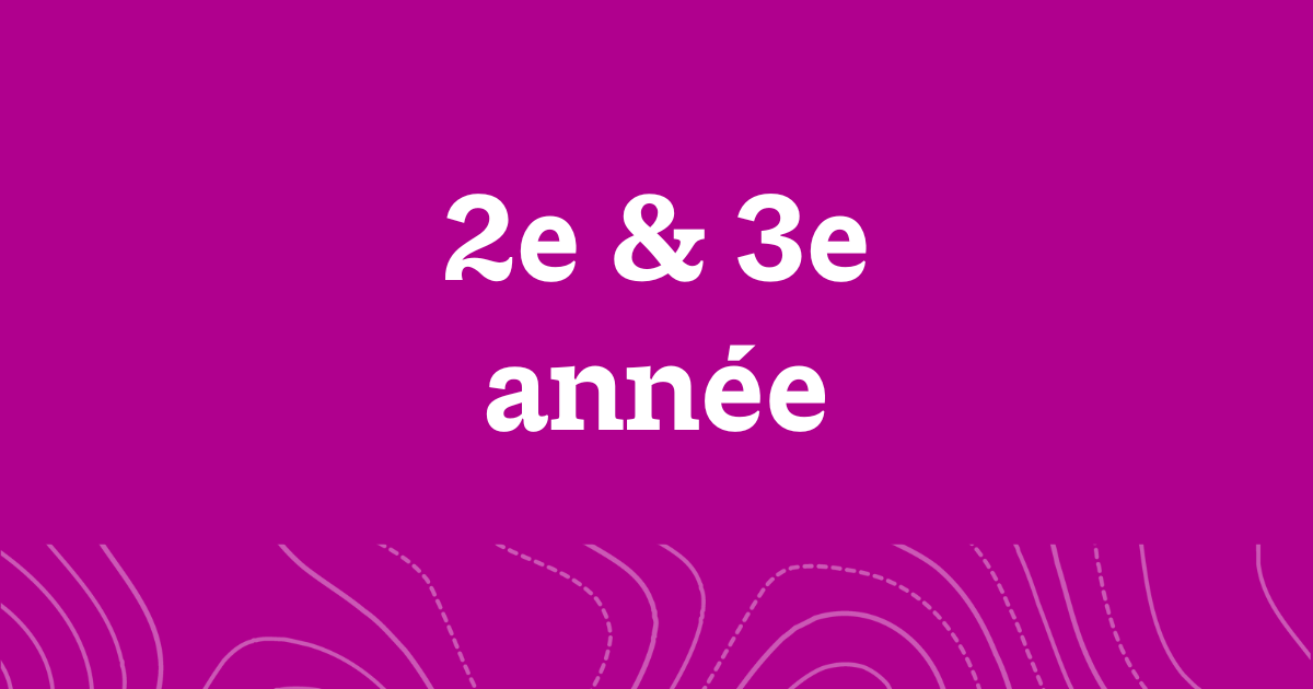 A word graphic on a fuchsia background with white text reading, "2e & 3e année".