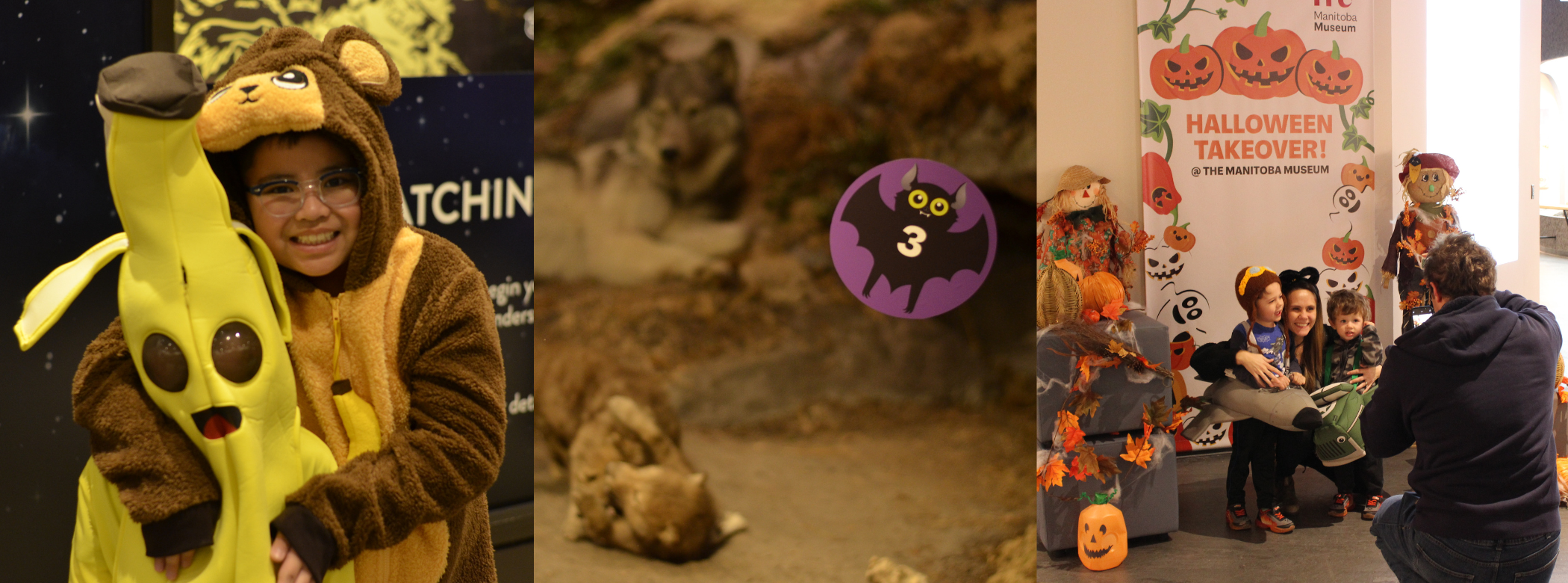 A collage of three photos. On the left, two children in costumes smile at the camera as they give each other a hug. In the centre, a bat sticker with a number 3 in the centre on a Museum display case. On the right, an adult posing with two children in front of a pumpkin themed photo backdrop in the Museum Galleries.