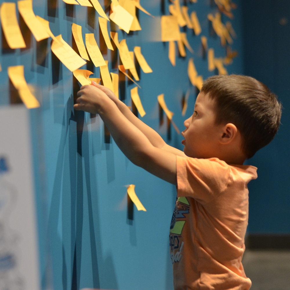 A child wearing an orange shirt places an orange sticky-note on a wall alongside dozens of other orange sticky-notes.