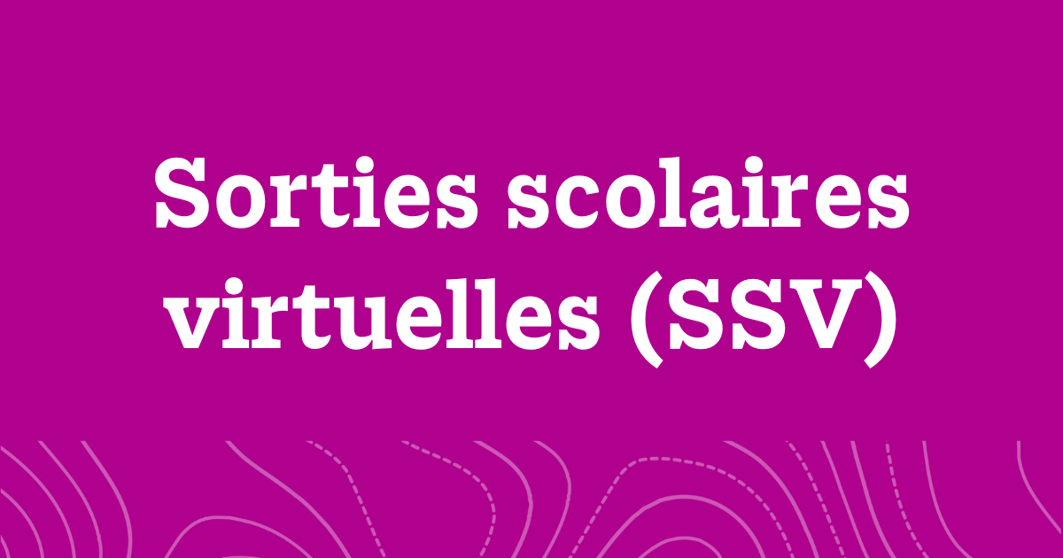 A word graphic on a fuchsia background with white text reading, "Programmes Virtuels (SSV)".