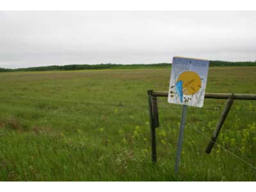 View out over the prairie landscape, with a light fence and sign in the lower right foreground.