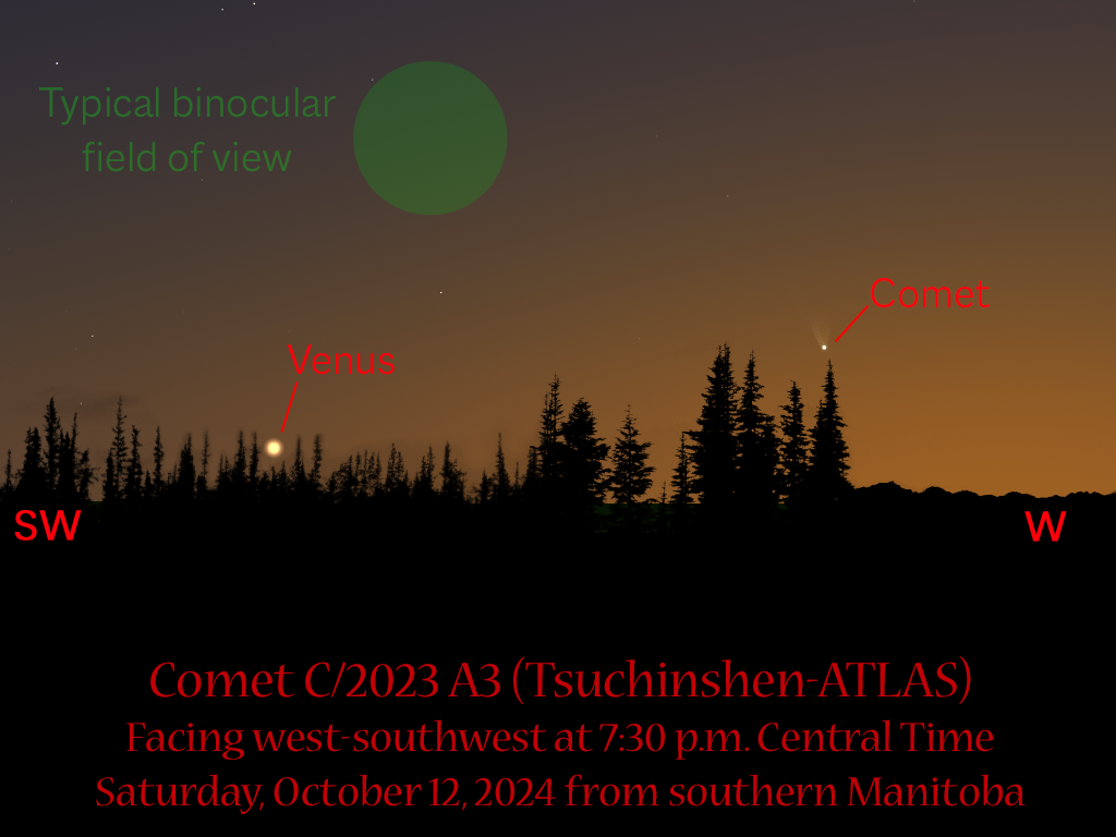 A sunset view of the sky showing the position of Comet Tsuchinshen-ATLAS on October 12, 2024.