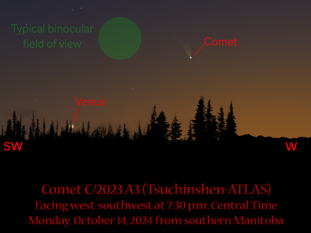 A sunset view of the sky showing the position of Comet Tsuchinshen-ATLAS on October 14, 2024.