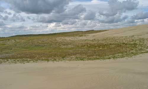 A dry, desert like landscape with some very low-growing green-brown vegetation on sandy ground and dunes.