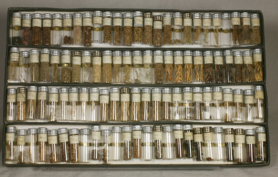 A shallow box containing four rows of small vials containing seeds.