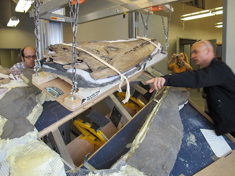 The skull, suspended from the lift with chains is lifted carefully from place on the mount for installation. Two yellow jacks are visible within the mount.