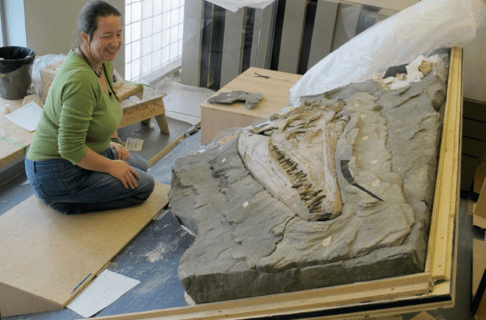 A smiling woman sits on a wooden brace within a large wooden frame. In the upper right corner of the frame is a mounted pliosaur skull - a large, toothy prehistoric sea creature.