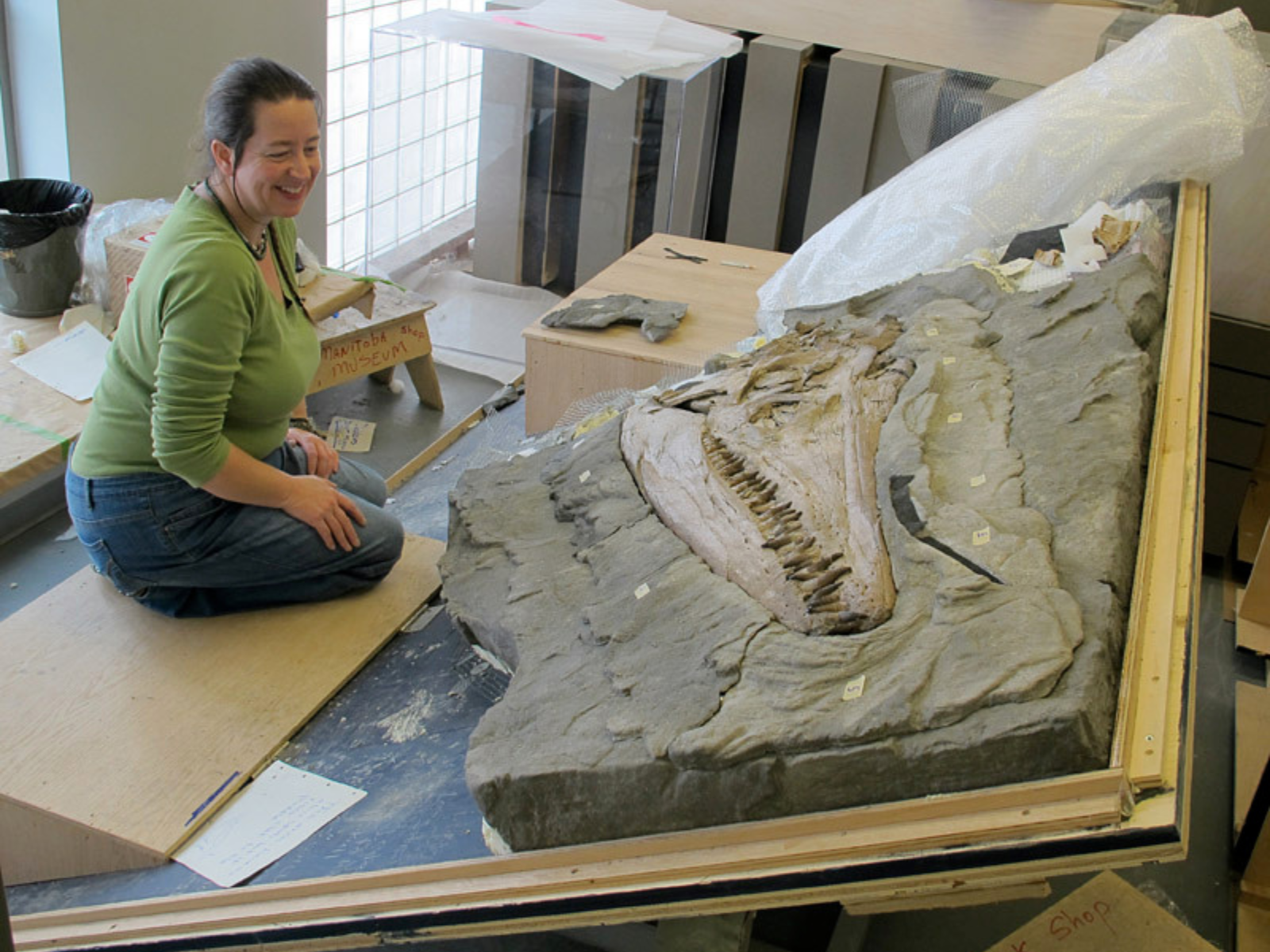 A smiling woman sits on a wooden brace within a large wooden frame. In the upper right corner of the frame is a mounted pliosaur skull - a large, toothy prehistoric sea creature.