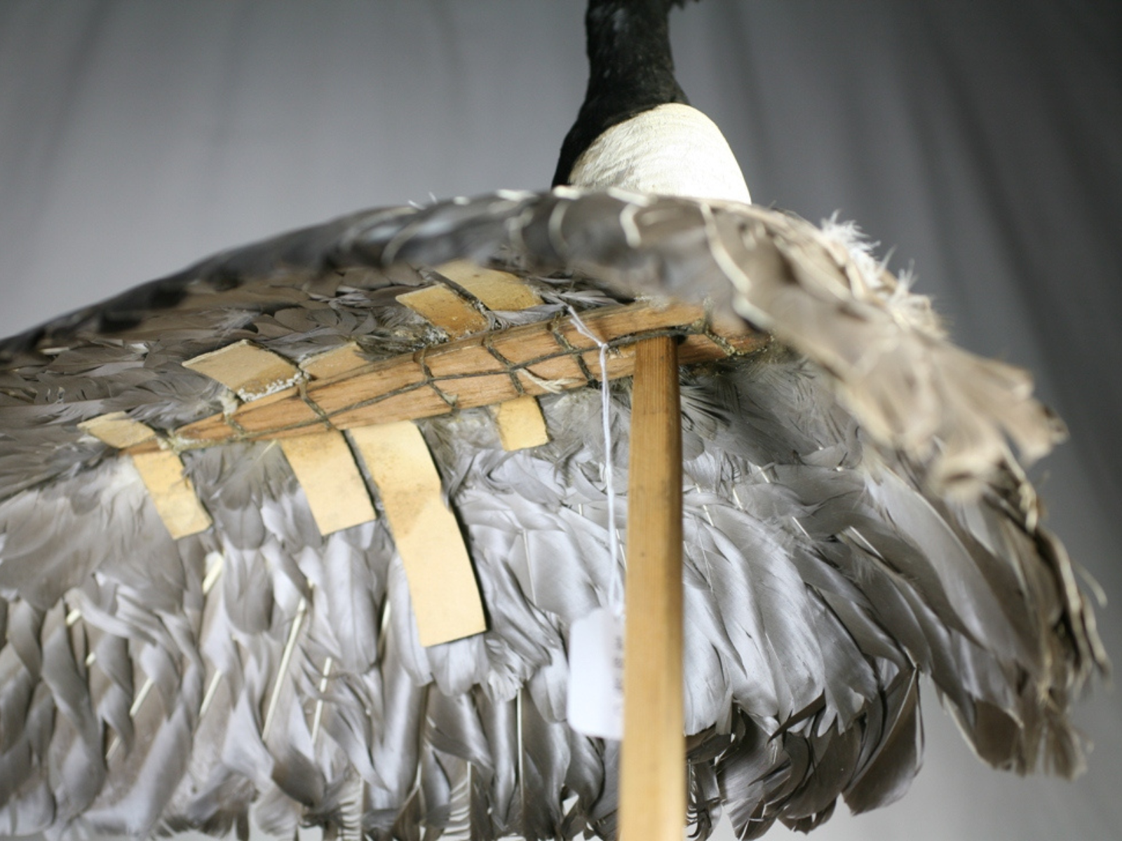 The underside of the goose decoy body frame, showing the feathers arranged along a wooden "spine" attaching to the ground stake.