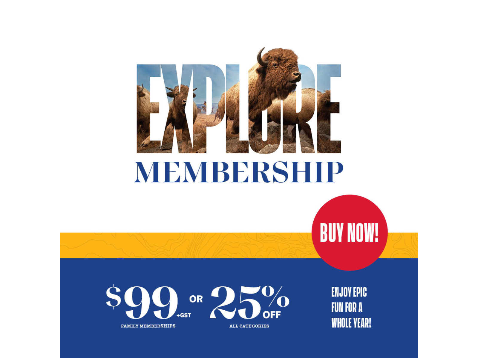 A bison from the iconic Manitoba Museum bison diorama bursting through the word EXPLORE with “Membership” below. On the lower third, on a blue background, text reads, “$99+GST Family Memberships / or / 25% off all categories / Enjoy epic fun for a whole year!”. On a red circle near the centre-right text says, “Buy now!”.