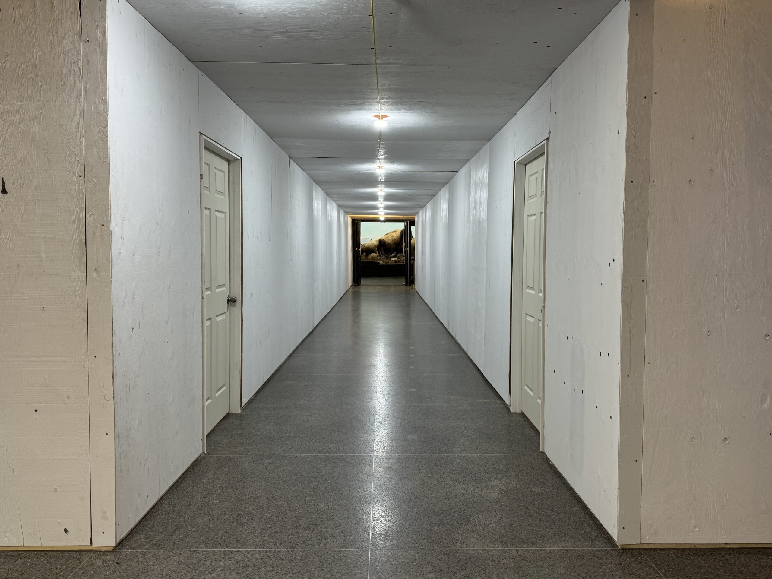 White wooden hoarding forming a tunnel through the Museum Foyer towards the Museum Galleries entrance.