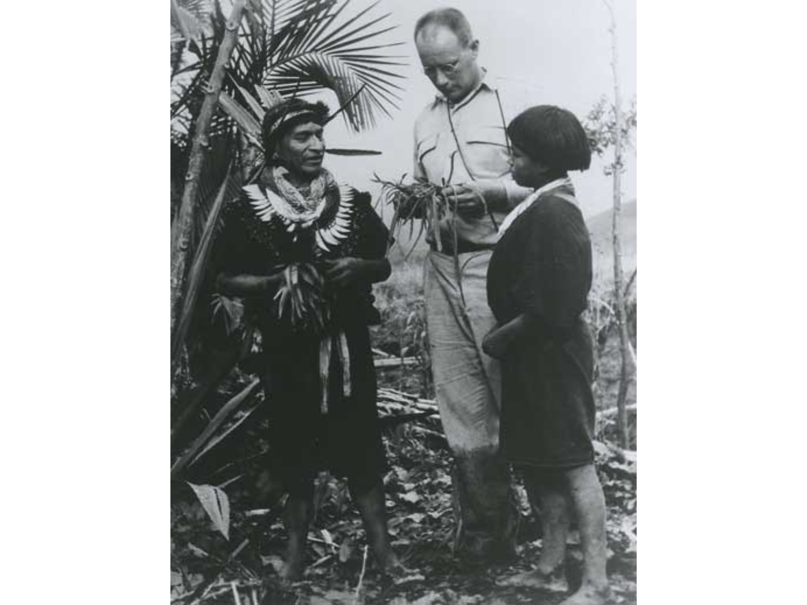 A black and white photograph of Dr. Richard Evan Schultes with two Indigenous people in the Amazon. He is holding a selection of plants.