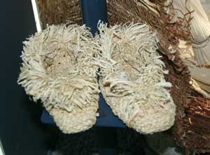 A pair of shoes made of corn plants, with a frilly fringe around the shoe entrance.