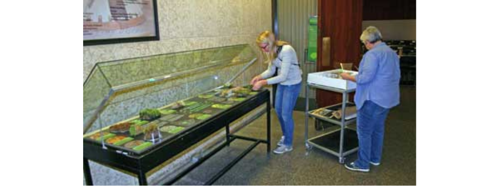 Two individuals arranging pieces in a ling, narrow exhibit case that has a raised glass lid.