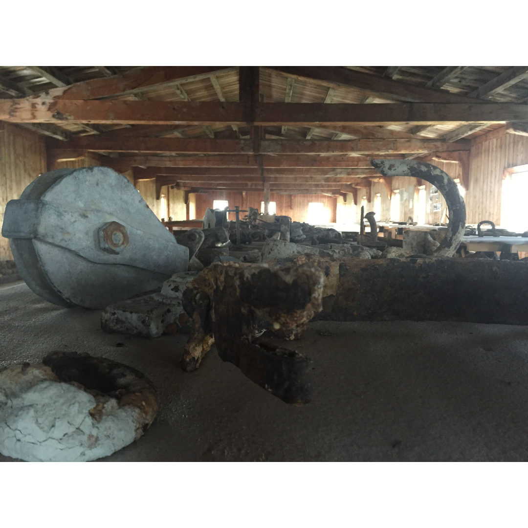 Close up view of a number of artifacts laid out on a table in a long room with wooden walls and a peaked wooden roof. Sunlight streams in at the far end of the room.