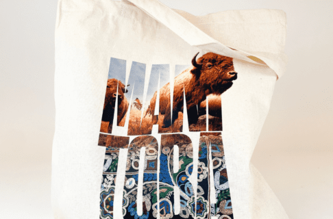 A cream-coloured tote bag featuring the word MANITOBA broken up along two lines, with part of the bison diorama bursting through the upper portion, and colourful beadwork visible through the lower portion.