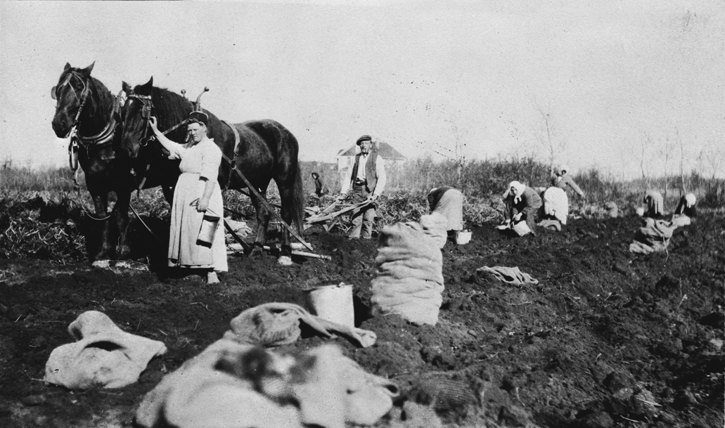 Black and white photograph of a farm field. A woman stands beside two large horses attached to a plow that a man is standing behind.