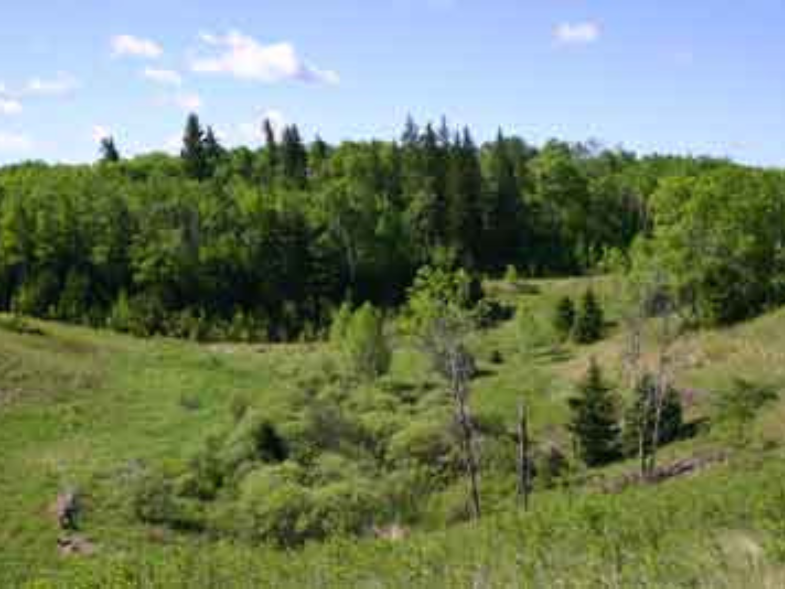 A wooded, hilly landscape.