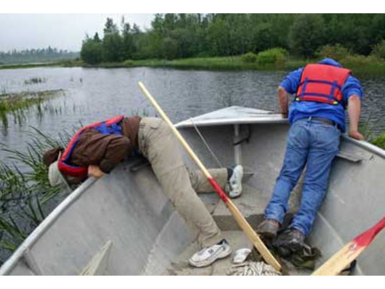 Two individuals wearing life jackets leaning far off either side of a boat, looking for water lilies on the lake surface.