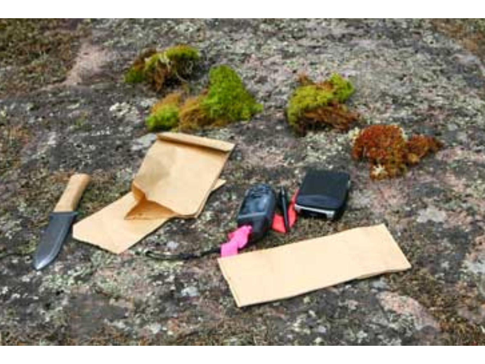 A collection of mosses, paper bags, and other collection materials laid out on a rock.