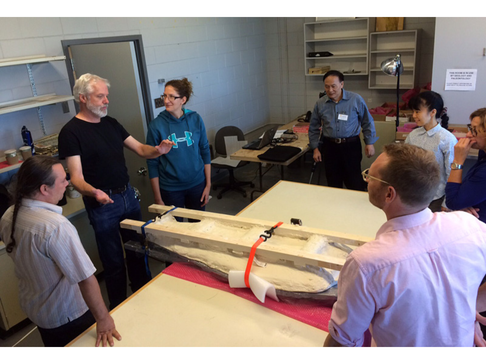 View from a raised angle, seven people standing around a table, with a cradled fossil on it. Long boards secured either side of the fossil hang off each end of the table to facilitate a smooth flip.