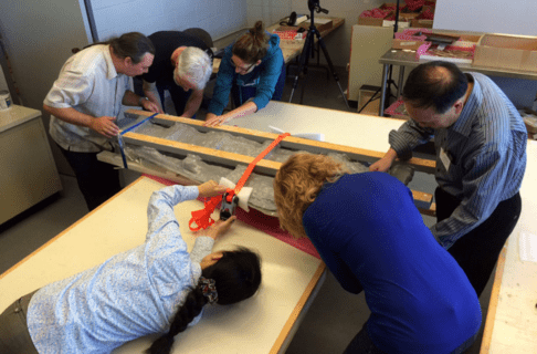 Six people, three at either end, bent over to check the condition of the cradled plesiosaur skull post-flip.