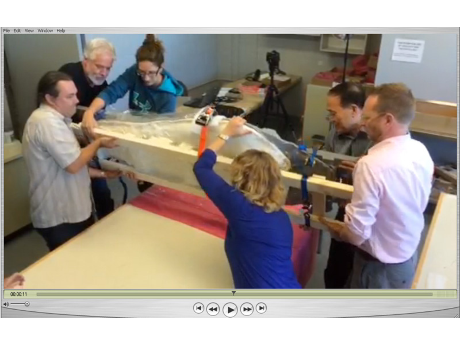 Six people, three at either end, in the process of flipping the cradled plesiosaur skull.