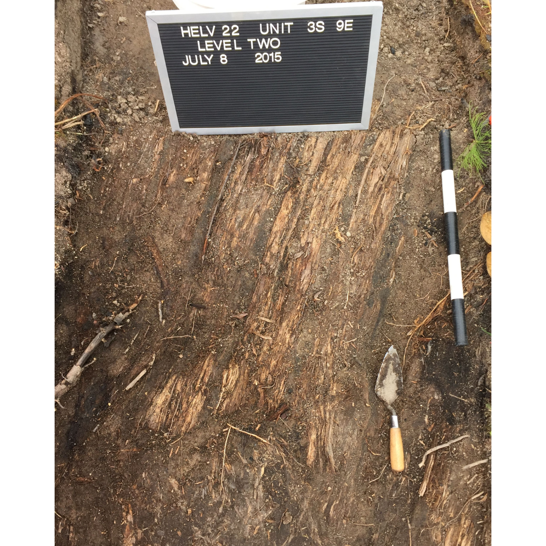 Some wooden floorboards partially visible through uncovered dirt.