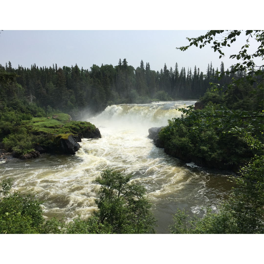 A waterfall along a river, with tall trees either side.