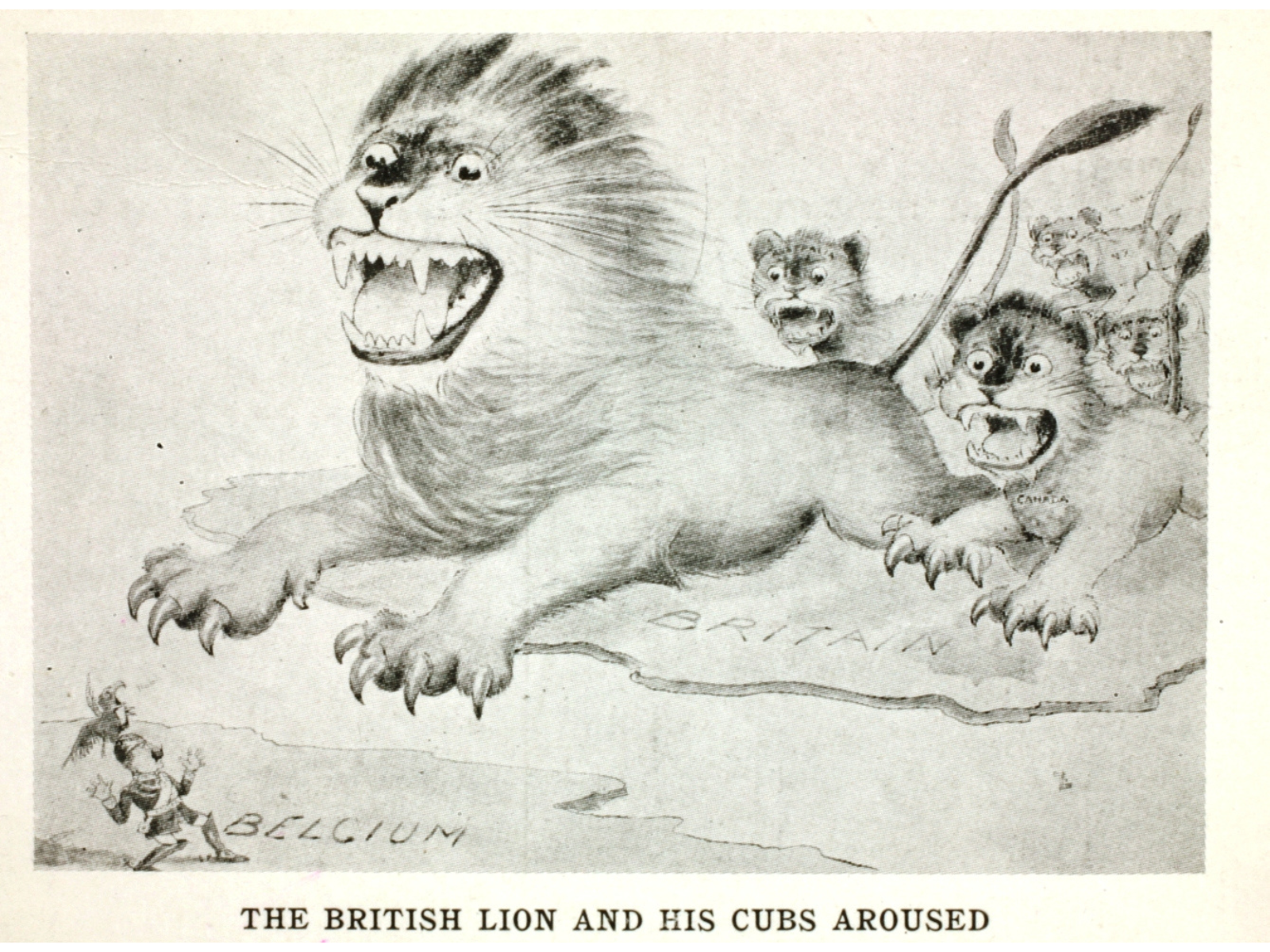 A postcard showing a leaping lion followed by four cubs pouncing from Britain to two generals depicted in Belguim.