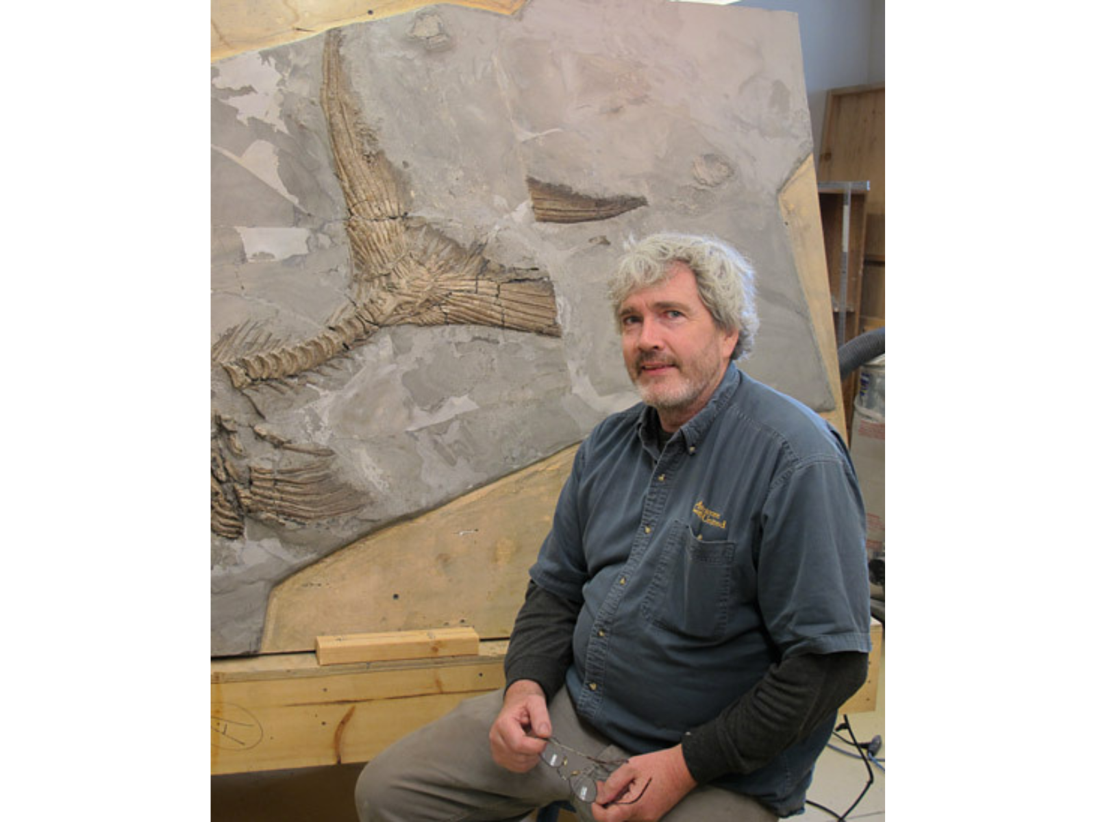 An individual sitting in front of a large fossil slab.