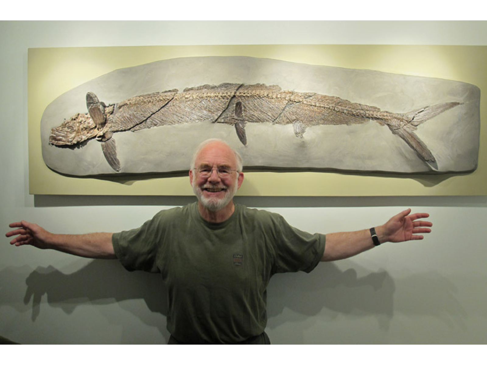 A smiling individual standing with their arms spread in front of a fossil fish mounted on a wall.