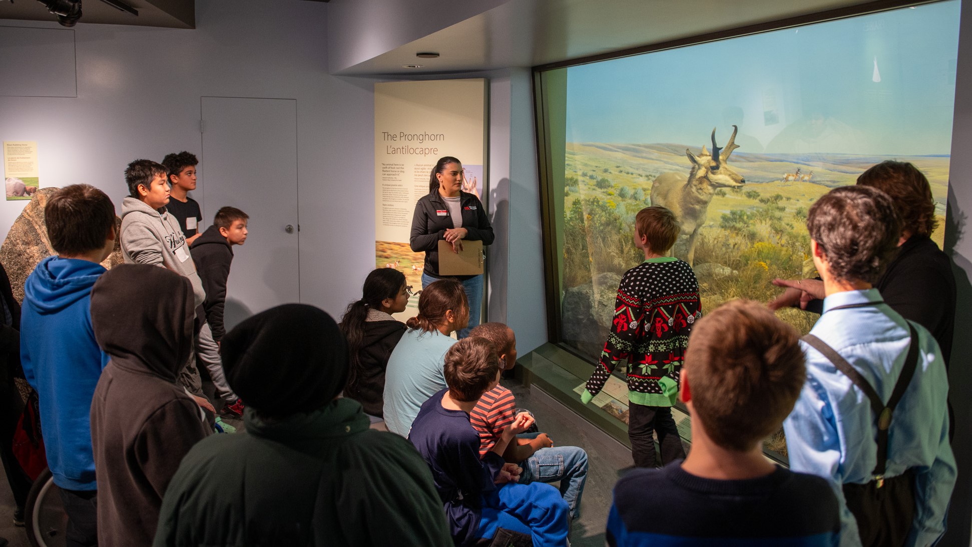 At the pronghorn diorama in the Prairie Gallery of the Manitoba Museum, a museum staff person wearing a branded jacket and holding a clipboard leading a program for a group of youth.