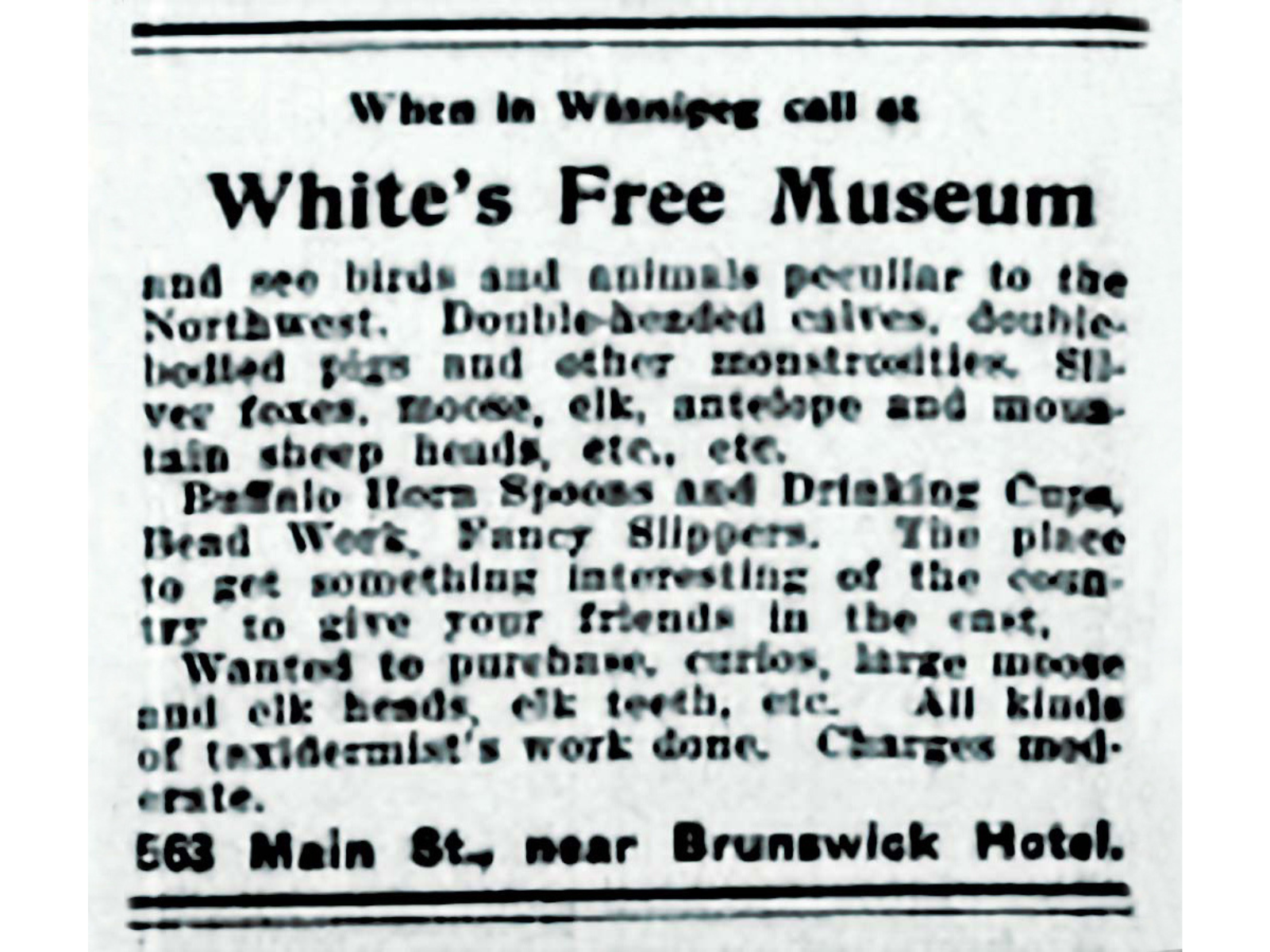 Newspaper clipping reading, "When in Winnipeg call at White's Free Museum / and see birds and animals peculiar to the Northwest. Double-headed calves, double-bellied pigs and other monstrosities. Silver foxes, moose, elk, antelope and mountain sheep heads, etc., etc. Buffalo Horn Spoons and Drinking cups, Bead Work, Fancy Slippers. The place to get something interesting of the country to give your friends in the east. Wanted to purchase, curios, large moose and elk heads, elk teeth, etc. All kinds of taxidermist's work done. Charges moderate. / 563 Main St., near Brunswick Hotel."