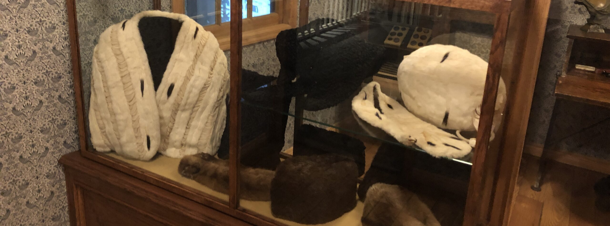 A museum display case containing a number of fur products such as a coat, hats, bags, and muffs.