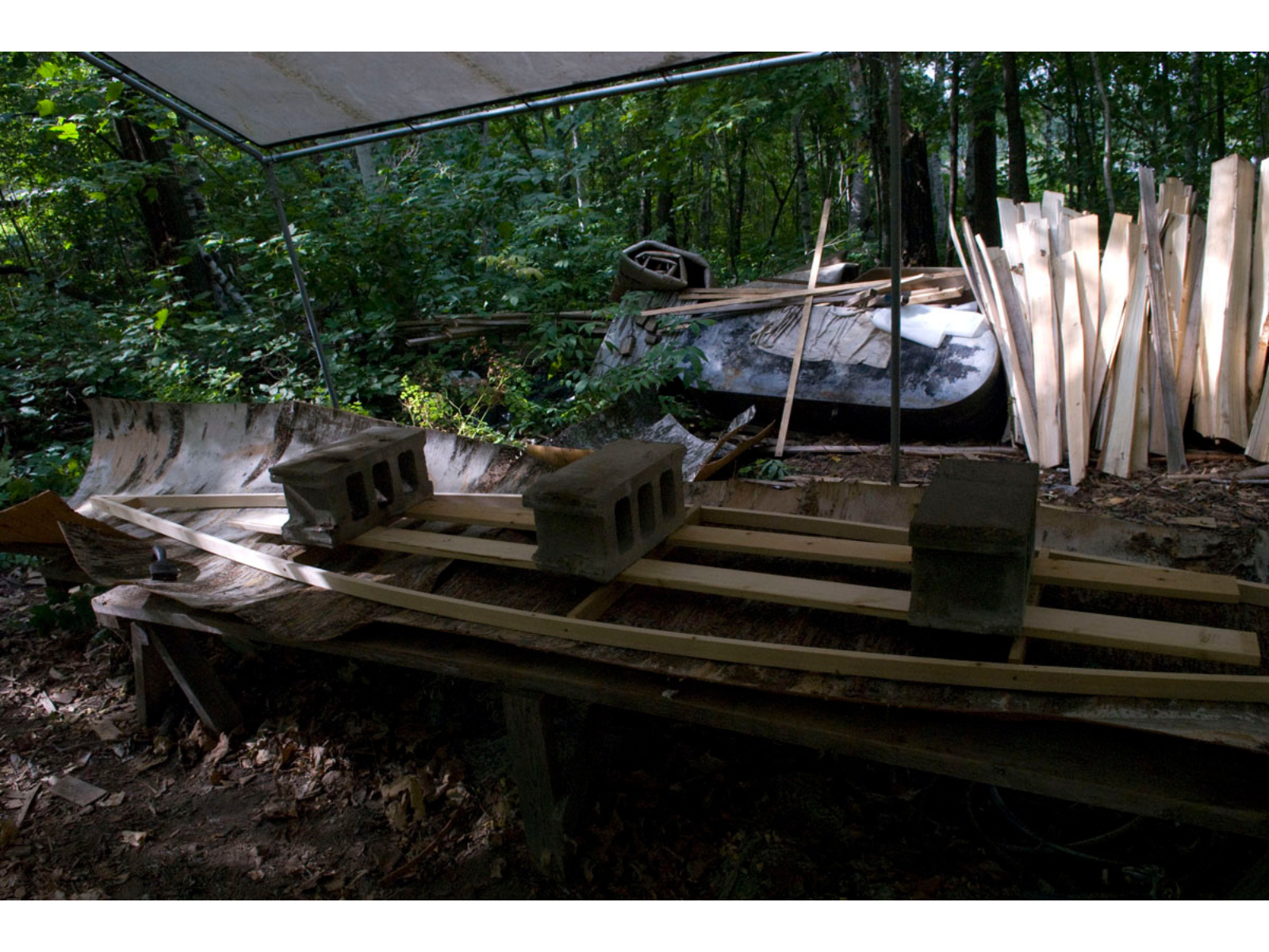 The wooden frame of a canoe laid on top of large strips of birchbark with three large cinderblocks weighing down the wooden frame.