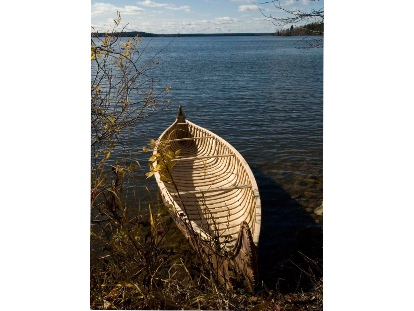 A birch bark canoe partially banked at the side of a body of water.