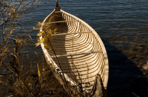 A birch bark canoe partially banked at the side of a body of water.