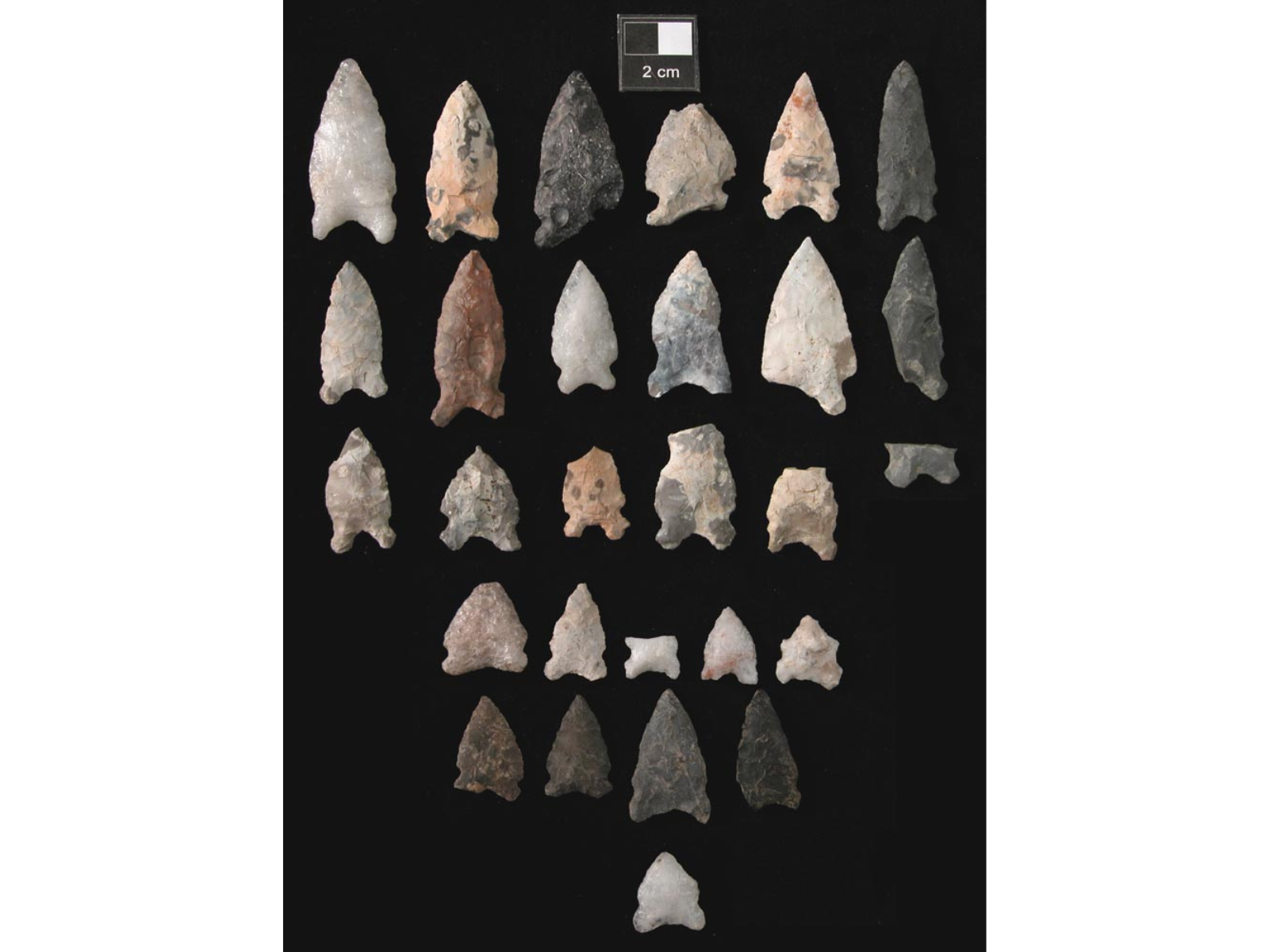 A selection of 28 stone spear points of varying colours and sizes on a black background.