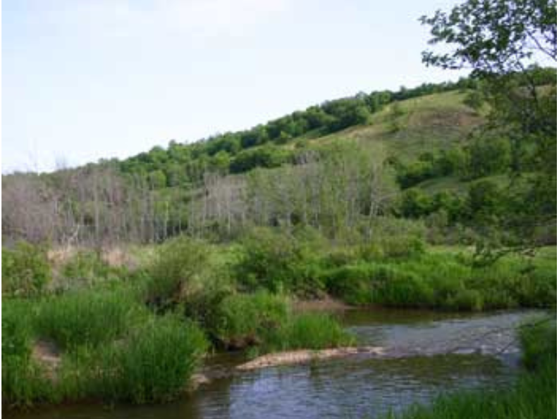 A creek next to a rolling green hill.