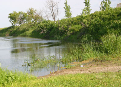 View on the bank of a wetland, with buses and small trees on the side of a body of water.