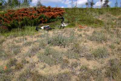 A patch of ground with tufty, wild growing grass. On the far side are some folding chairs and a bush with reddish tinged leaves.