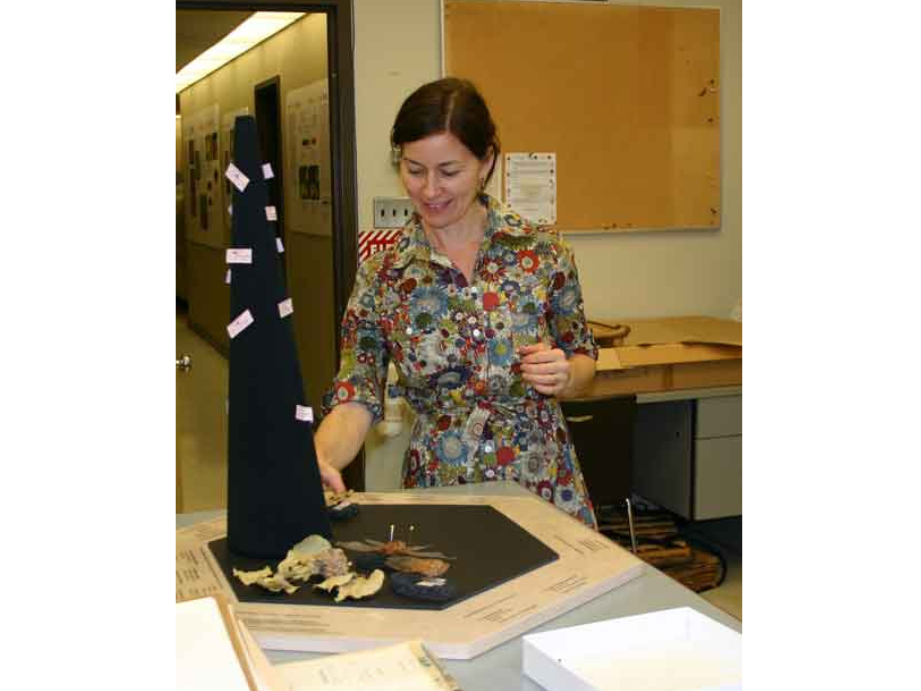 An individual adjusting specimens on a hexagonal mat.