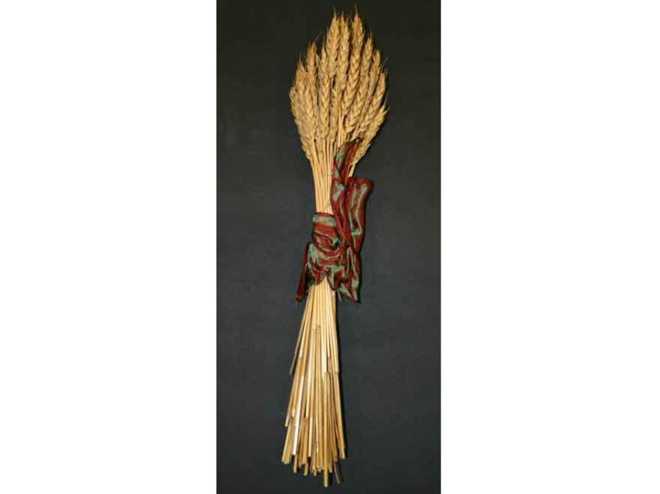 A small sheaf of grain tied in a bunch with a red and green ribbon.